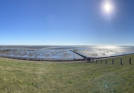 Photo: Matthias Deuschl, Unsplash