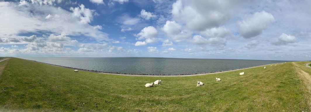 Photo: Matthias Deuschl, Unsplash