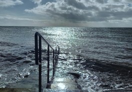 Photo: Frank Weichelt, Unsplash