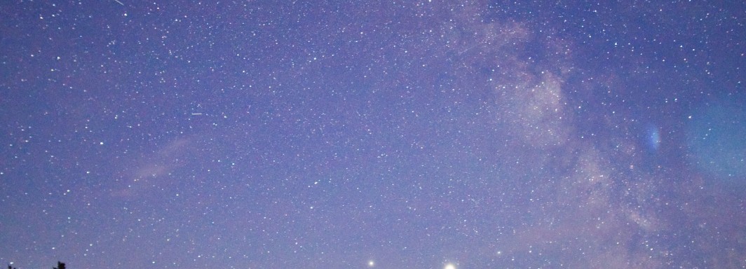 Photo: Julius Kriese, Unsplash