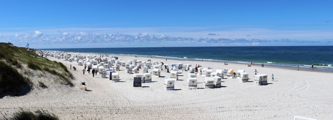 Photo: Clemens van Lay, Unsplash