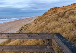 Photo: Marvin Radke, Unsplash