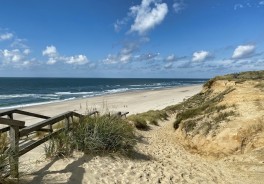 Photo: datingjungle, Unsplash