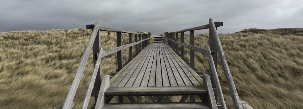 Photo: Susn Matthiessen, Unsplash