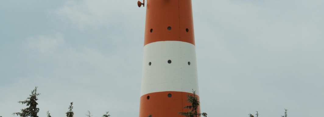 Photo: Phil S, Unsplash