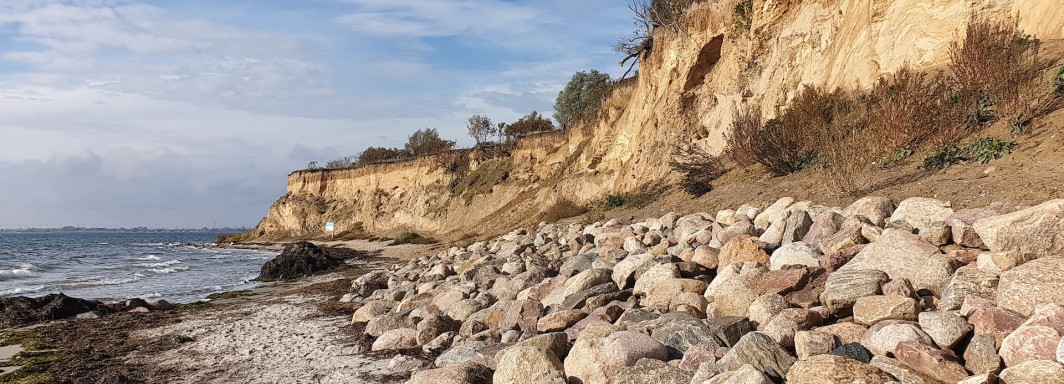 Photo: Michael Fleczoreck, Unsplash