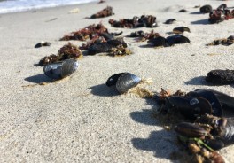 Photo: Bernd 📷 Dittrich, Unsplash