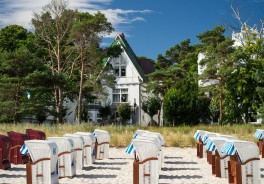 Photo: Patrick Schneider, Unsplash