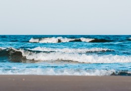 Photo: Philipp Deus, Unsplash