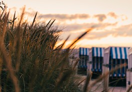 Photo: Matthias Pens, Unsplash