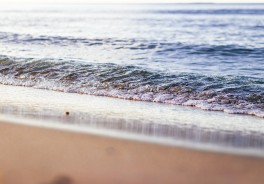 Photo: Matthias Pens, Unsplash