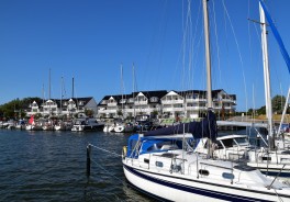 Photo: Waldemar, Unsplash