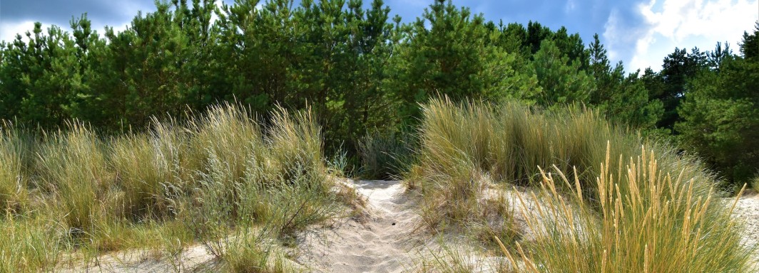 Photo: Waldemar, Unsplash