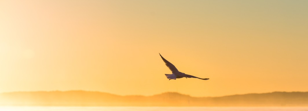 Photo: Lars Kuczynski, Unsplash