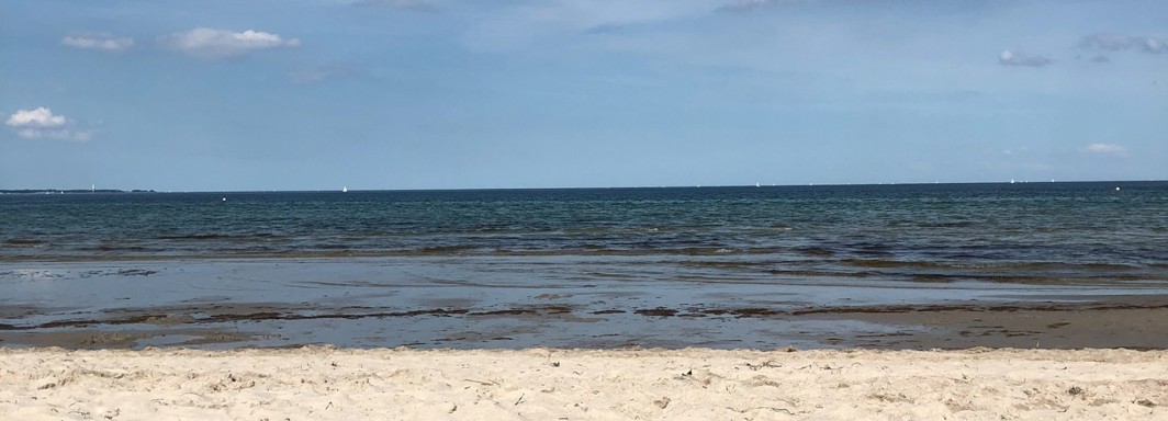 Photo: Leonie Janko, Unsplash