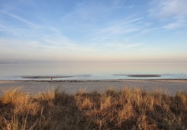 Photo: Serhat Köylüce, Unsplash