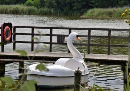 Photo: Waldemar, Unsplash