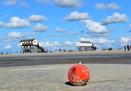 Photo: Waldemar, Unsplash