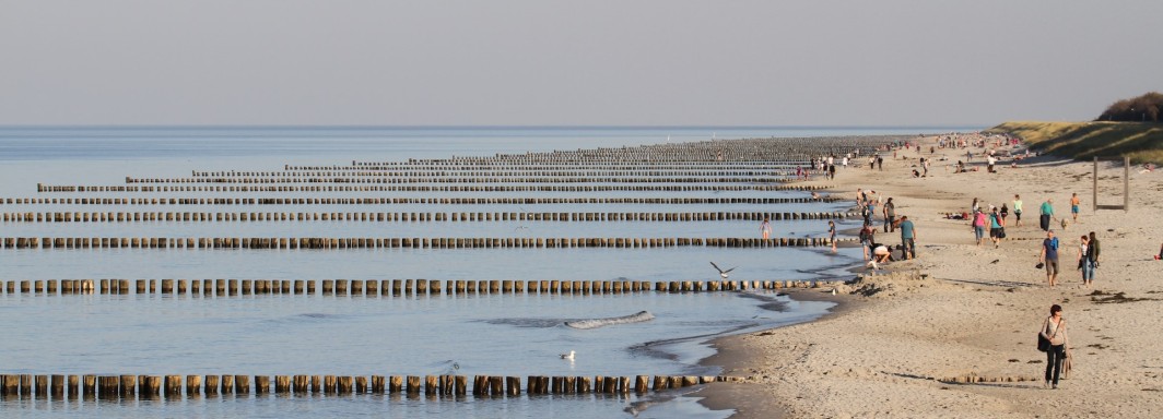 Photo: Michael Fleczoreck, Unsplash