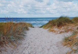 Photo: Reiseuhu, Unsplash