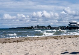 Photo: Philipp, Unsplash