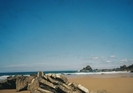 Afonso Morais, Unsplash