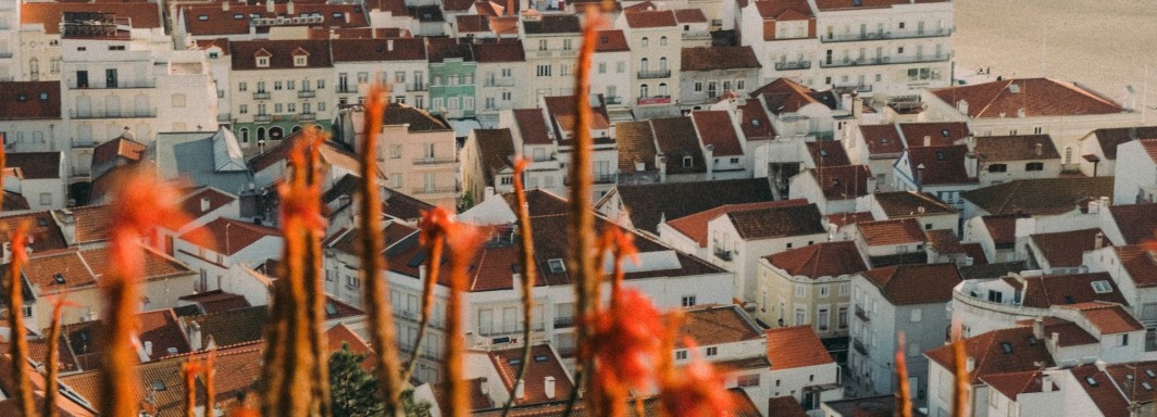 Photo: Colin + Meg, Unsplash