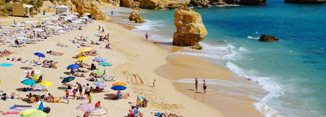 Photo: Dan Gold, Unsplash