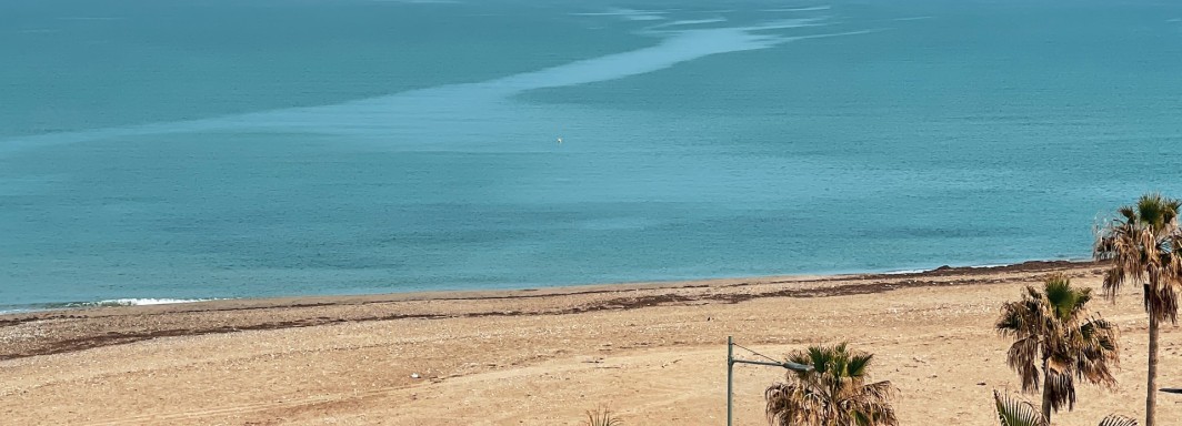 Photo: Evangelos Mpikakis, Unsplash