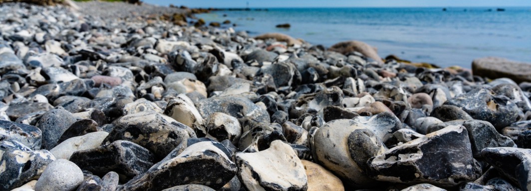 Photo: Philipp Deus, Unsplash