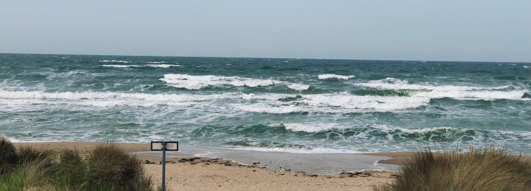 Photo: Tim Fraedrich, Unsplash