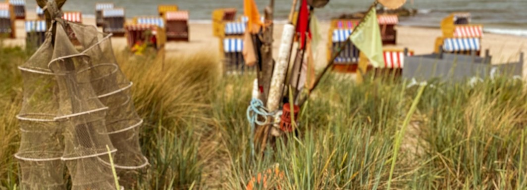 Photo: Robert Katzki, Unsplash