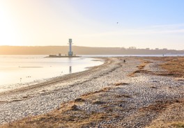 Photo: Marvin Radke, Unsplash