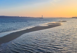 Photo: Marvin Radke, Unsplash