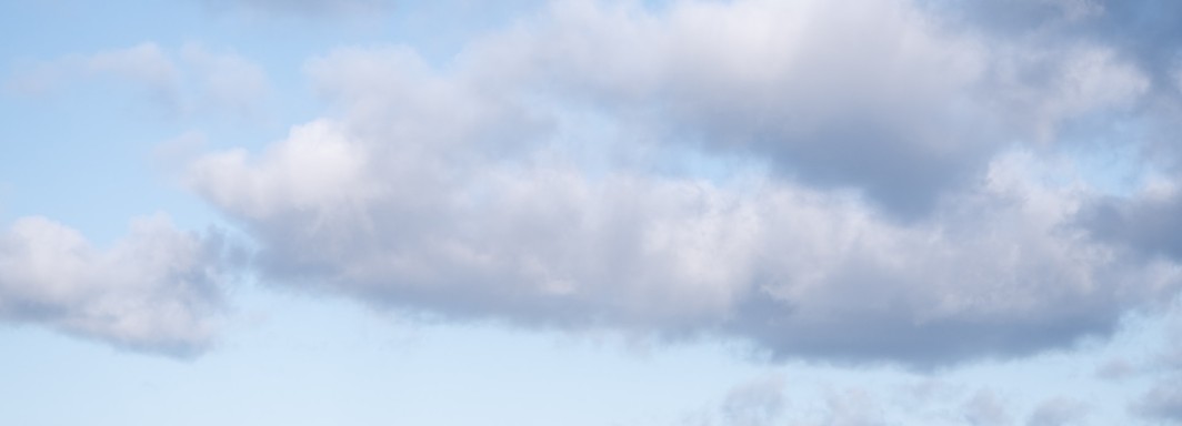 Photo: Michael Held, Unsplash