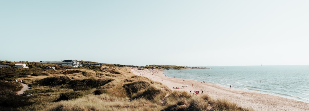 Photo: Steven Erixon, Unsplash