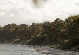 Photo: Karl Hörnfeldt, Unsplash