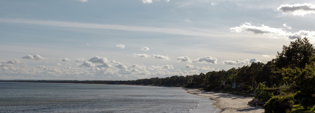 Photo: Karl Hörnfeldt, Unsplash