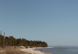 Photo: Karl Hörnfeldt, Unsplash