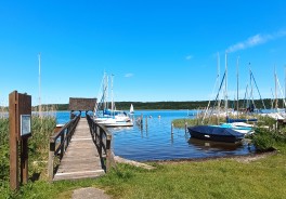 Photo: Angela Sandorff