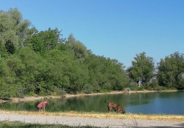 Photo: Franz Karl, Thank you!