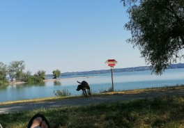 Photo: Franz Karl, Thank you!