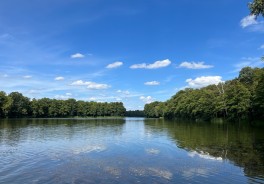 <p>Photo: Tommy F.</p>