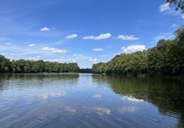 <p>Photo: Tommy F.</p>