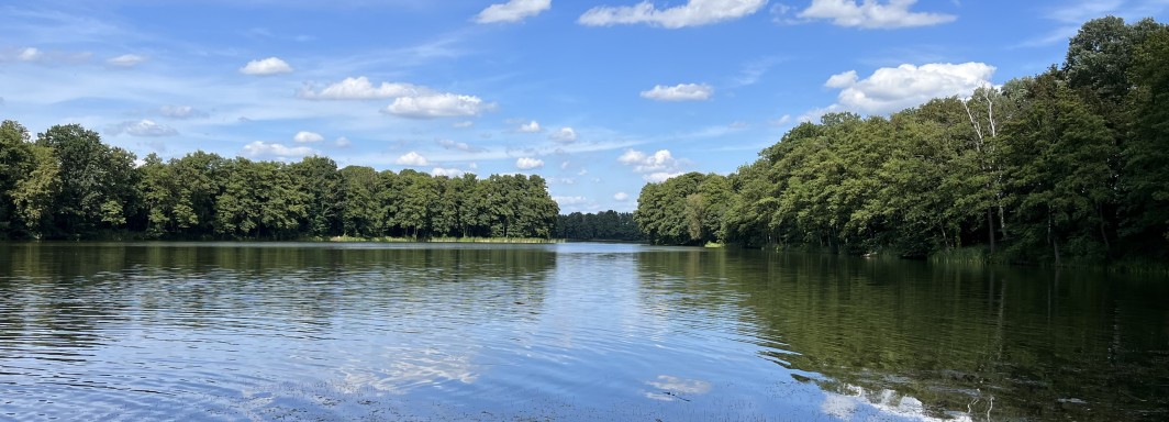 <p>Photo: Tommy F.</p>