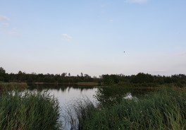 <p>Photo: Robert P.</p>