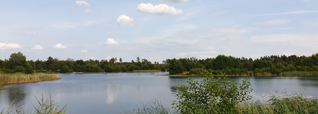 <p>Photo: Robert P.</p>