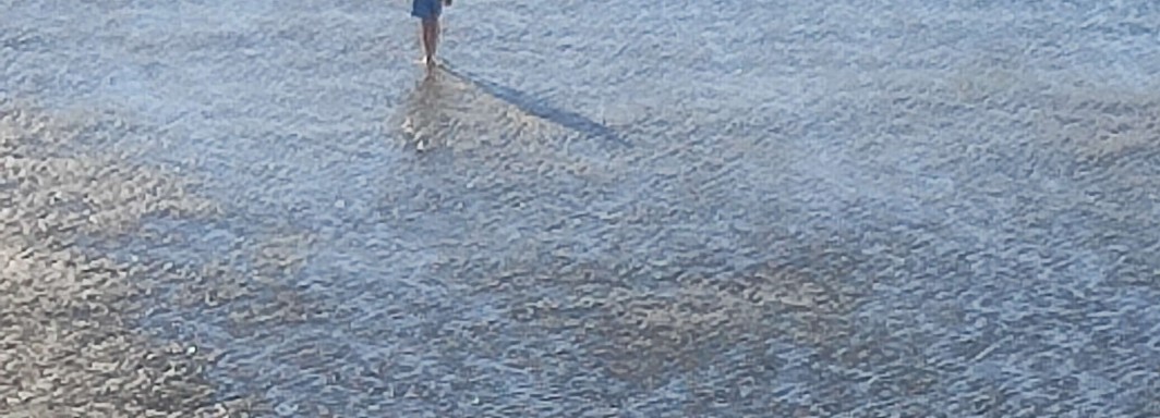 <p>Photo: Kornelia S.</p>